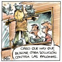 omunidad propietarios, palomas, tejados, cubierta, alimentación